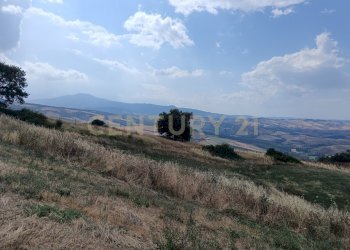 IMG_20250717_160523.jpg - Terreno edificabile Località Podere Scarpetta 90, Radicofani - foto 12