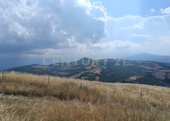 IMG_20250717_160812.jpg - Terreno edificabile Località Podere Scarpetta 90, Radicofani - foto 13