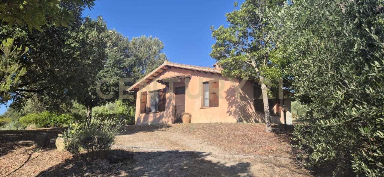 foto 3.jpeg - Farm località poggio al capraio  snc, Roccastrada - photo 1