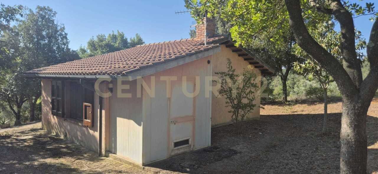 foto 5.jpeg - Farm località poggio al capraio snc, Roccastrada - photo 2