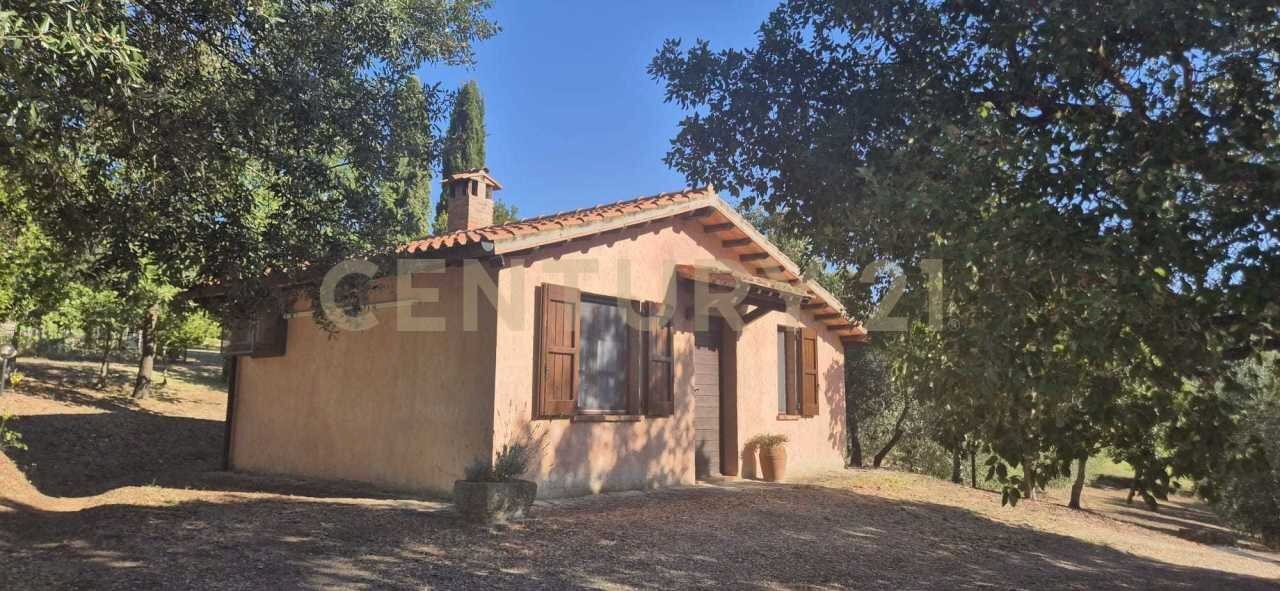 foto 1.jpeg - Farm località poggio al capraio snc, Roccastrada - photo 3