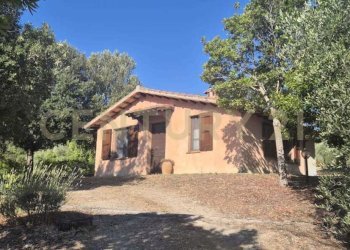 foto 3.jpeg - Azienda agricola località poggio al capraio  snc, Roccastrada - foto 1