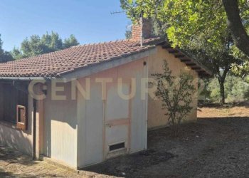 foto 5.jpeg - Azienda agricola località poggio al capraio  snc, Roccastrada - foto 2