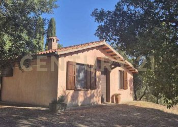 foto 1.jpeg - Azienda agricola località poggio al capraio  snc, Roccastrada - foto 3