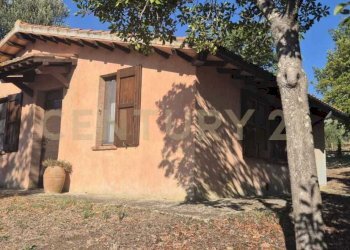 foto 2.jpeg - Azienda agricola località poggio al capraio  snc, Roccastrada - foto 4