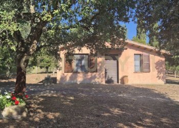 foto 4.jpeg - Azienda agricola località poggio al capraio  snc, Roccastrada - foto 5