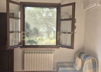 foto 15.jpeg - Azienda agricola località poggio al capraio  snc, Roccastrada - foto 6