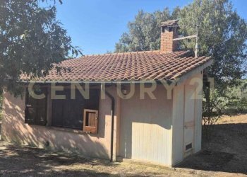 foto 6.jpeg - Azienda agricola località poggio al capraio  snc, Roccastrada - foto 7