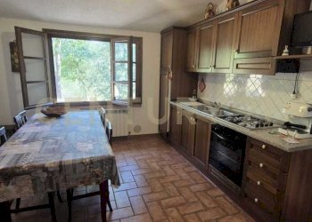 foto 11.jpeg - Azienda agricola località poggio al capraio  snc, Roccastrada - foto 12