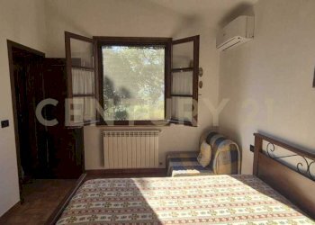 foto 14.jpeg - Azienda agricola località poggio al capraio  snc, Roccastrada - foto 15