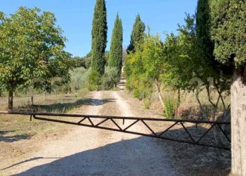 foto 18.jpeg - Azienda agricola località poggio al capraio  snc, Roccastrada - foto 19