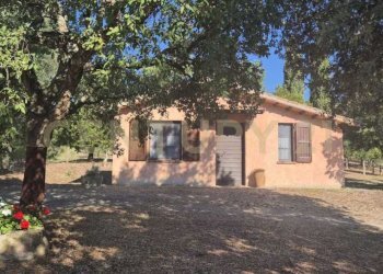 foto 23.jpeg - Azienda agricola località poggio al capraio  snc, Roccastrada - foto 24