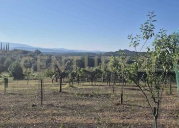 foto 24.jpeg - Azienda agricola località poggio al capraio  snc, Roccastrada - foto 25