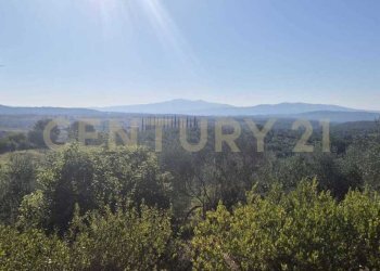 foto 26.jpeg - Azienda agricola località poggio al capraio  snc, Roccastrada - foto 27