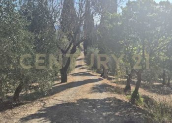 foto 27.jpeg - Azienda agricola località poggio al capraio  snc, Roccastrada - foto 28