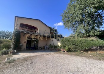 IMG_5301.jpg - Azienda agricola Strada dei Sassi Bianchi, Manciano - foto 2