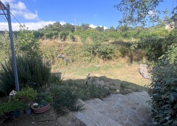 IMG_5290.jpg - Azienda agricola Strada dei Sassi Bianchi, Manciano - foto 4