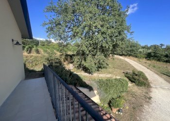 IMG_5285.jpg - Azienda agricola Strada dei Sassi Bianchi, Manciano - foto 5