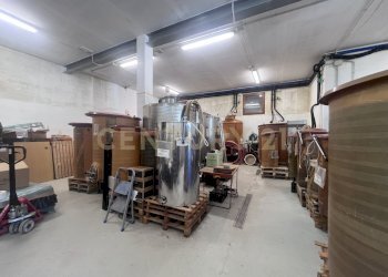 IMG_5306.jpg - Azienda agricola Strada dei Sassi Bianchi, Manciano - foto 9