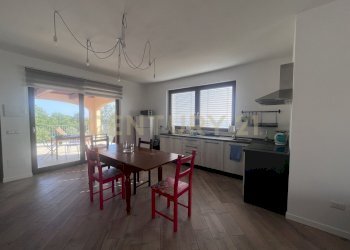 IMG_5275.jpg - Azienda agricola Strada dei Sassi Bianchi, Manciano - foto 12