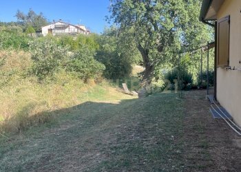 IMG_5296.jpg - Azienda agricola Strada dei Sassi Bianchi, Manciano - foto 17