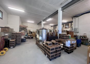 IMG_5304.jpg - Azienda agricola Strada dei Sassi Bianchi, Manciano - foto 21