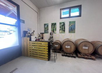 IMG_5305.jpg - Azienda agricola Strada dei Sassi Bianchi, Manciano - foto 22