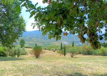 M) ESTERNO E PATIO (8).jpg - Villa Via Case Raspini 2, Santa Fiora - foto 8