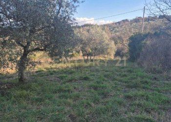 foto 2.jpeg - Casale loclaità fontepalma snc, Civitella Paganico - photo 2