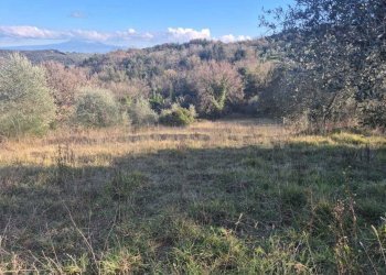 foto 3.jpeg - Casale loclaità fontepalma snc, Civitella Paganico - photo 3