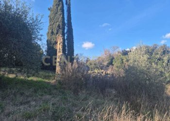 foto 4.jpeg - Casale loclaità fontepalma snc, Civitella Paganico - photo 4