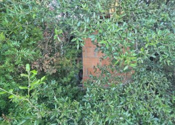 foto 8.jpeg - Casale loclaità fontepalma snc, Civitella Paganico - photo 8