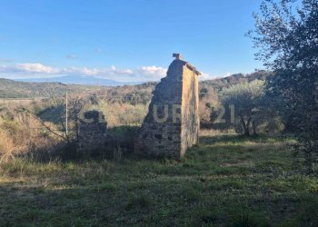 foto 9.jpeg - Casale loclaità fontepalma snc, Civitella Paganico - photo 9