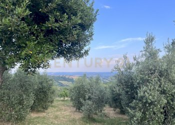 IMG_4695.jpg - Casale Località Poggio Murella 280, Manciano - foto 28