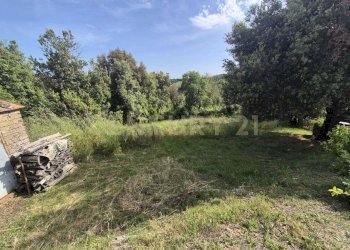 appezzamento di terreno 1.jpeg - Casa indipendente località ripoli, Civitella Paganico - foto 28