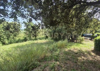 appezzamento di terreno 2.jpeg - Casa indipendente località ripoli, Civitella Paganico - foto 29