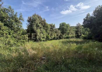 appezzamento di terreno 3.jpeg - Casa indipendente località ripoli, Civitella Paganico - foto 30