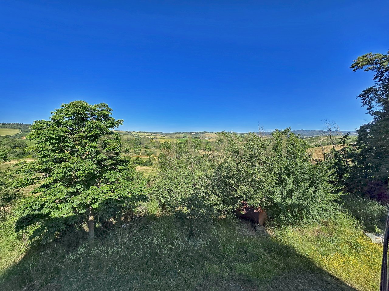 photo_20250529_074135.jpg - Casale Strada Provinciale Aquilaia, Scansano - foto 2