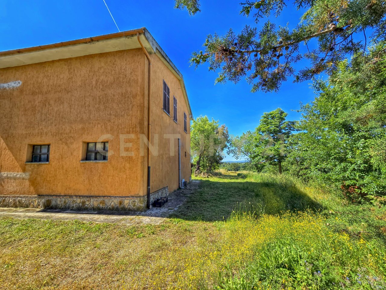 photo_20250529_073207.jpg - Casale Strada Provinciale Aquilaia, Scansano - foto 3