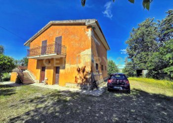 photo_20250529_073312.jpg - Casale Strada Provinciale Aquilaia, Scansano - foto 1