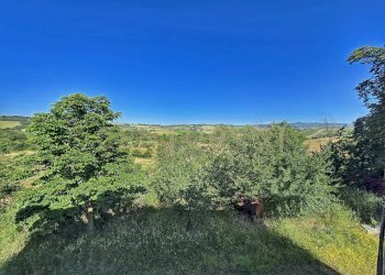 photo_20250529_074135.jpg - Casale Strada Provinciale Aquilaia, Scansano - foto 2