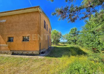 photo_20250529_073207.jpg - Casale Strada Provinciale Aquilaia, Scansano - foto 3