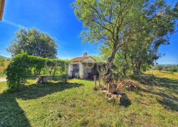 photo_20250529_073143.jpg - Casale Strada Provinciale Aquilaia, Scansano - foto 7