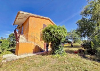 photo_20250529_072929.jpg - Casale Strada Provinciale Aquilaia, Scansano - foto 10