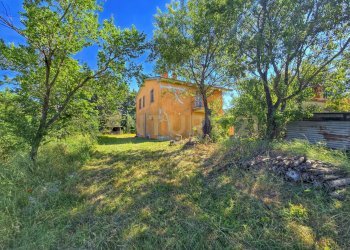 photo_20250529_073033.jpg - Casale Strada Provinciale Aquilaia, Scansano - foto 11