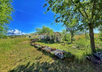 photo_20250529_073239.jpg - Casale Strada Provinciale Aquilaia, Scansano - foto 12