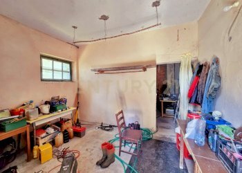 photo_20250529_073509.jpg - Casale Strada Provinciale Aquilaia, Scansano - foto 14