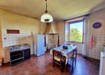 photo_20250529_073544.jpg - Casale Strada Provinciale Aquilaia, Scansano - foto 17