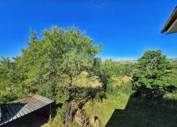 photo_20250529_074249.jpg - Casale Strada Provinciale Aquilaia, Scansano - foto 22