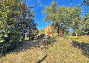 photo_20250529_072856.jpg - Casale Strada Provinciale Aquilaia, Scansano - foto 23